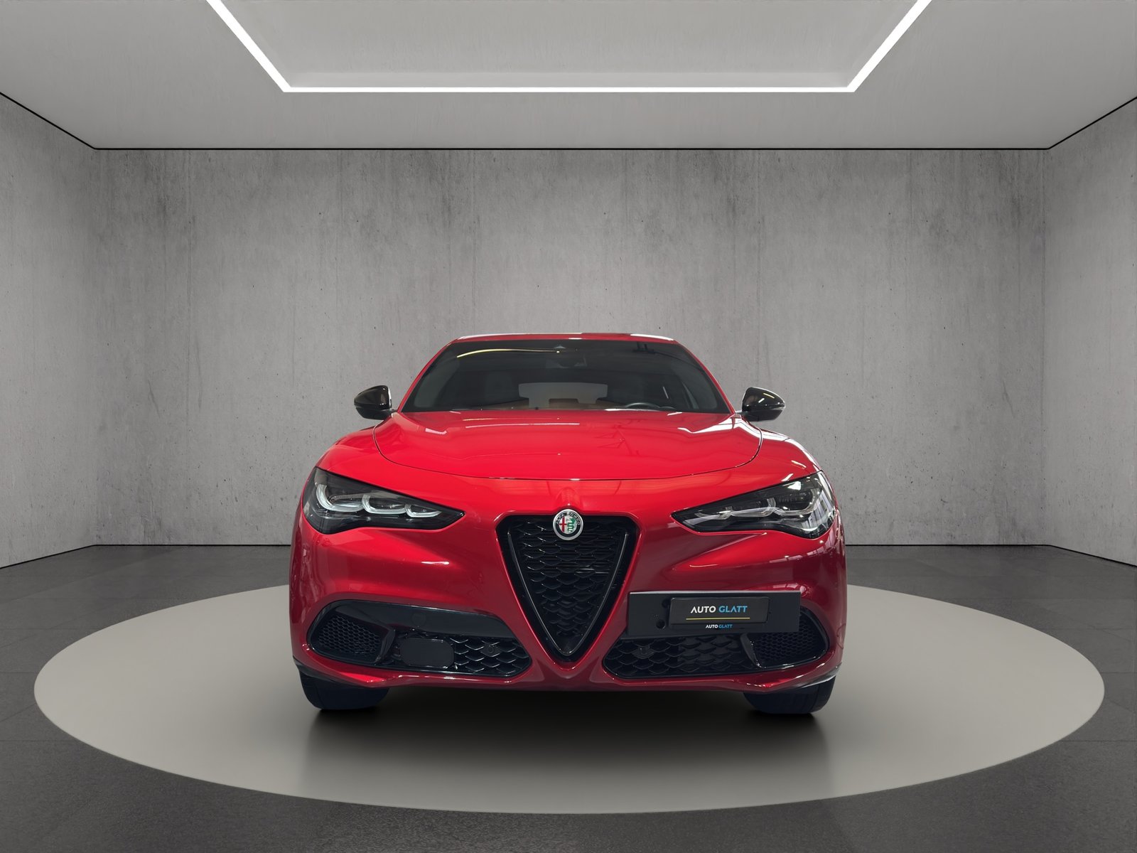 ALFA ROMEO Stelvio 2.0 Competizione Q4 AT8, Benzina, Occasioni / Usate, Automatico - 7