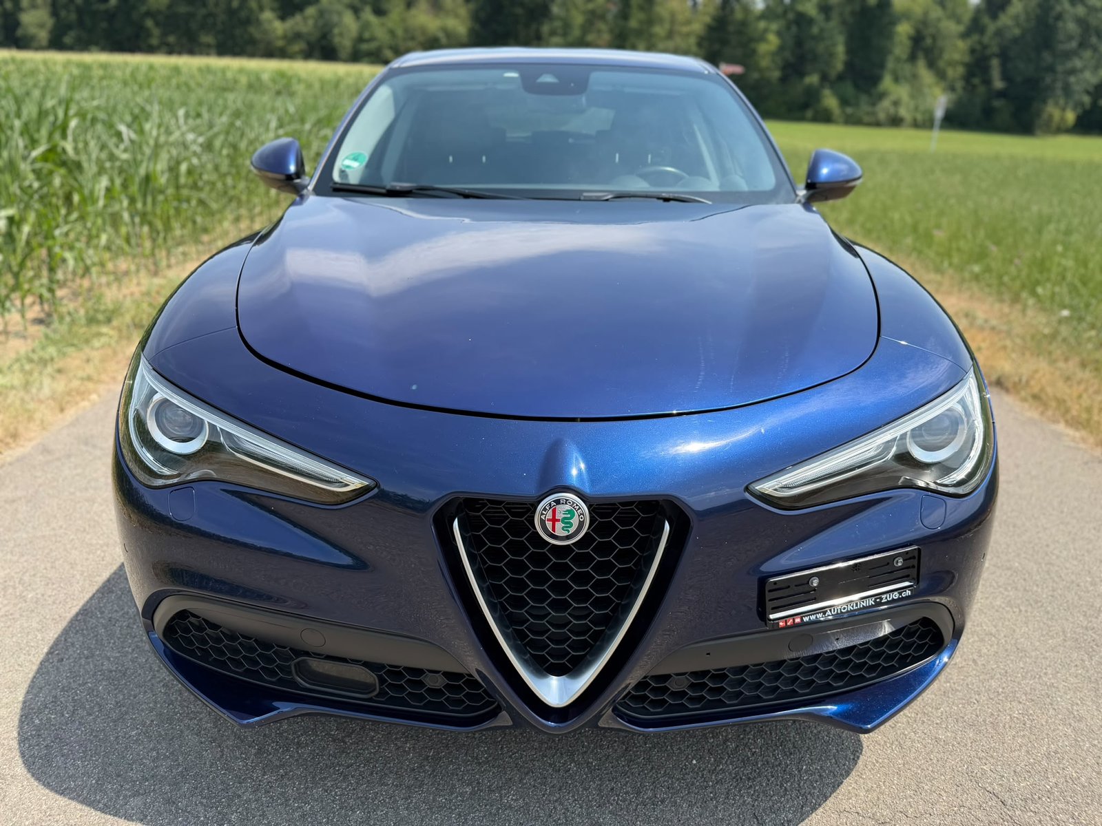 ALFA ROMEO Stelvio 2.2 JTDM Executive Q4 Automatic, Diesel, Occasion / Utilisé, Automatique - 3