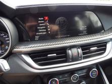 ALFA ROMEO Stelvio 2.9 V6 Biturbo Q4 Quadrifoglio, Benzina, Occasioni / Usate, Automatico - 7