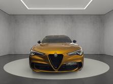 ALFA ROMEO Stelvio 2.9 V6 Quadrifoglio Pack Sky Q4 AT8 Ocra, Essence, Occasion / Utilisé, Automatique - 7