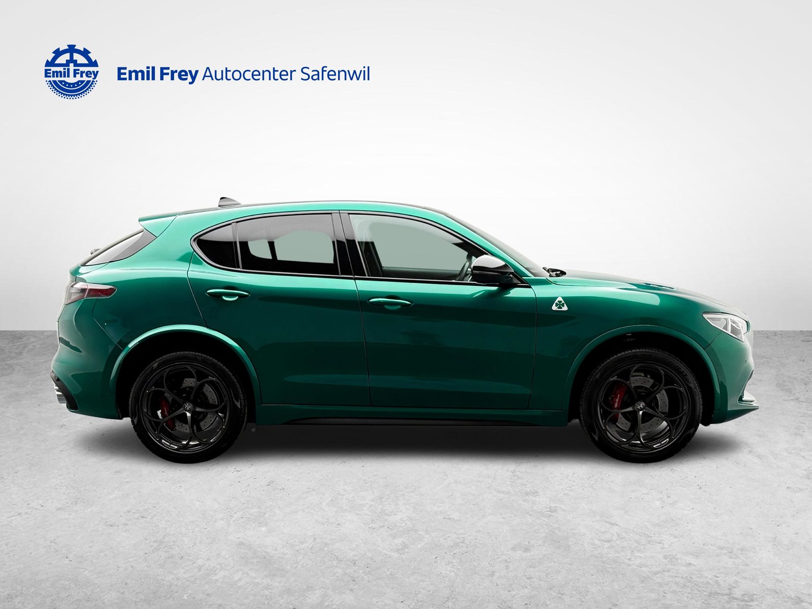 ALFA ROMEO Stelvio 2.9 V6 Biturbo Q4 Quadrifoglio, Benzin, Occasion / Gebraucht, Automatik - 6