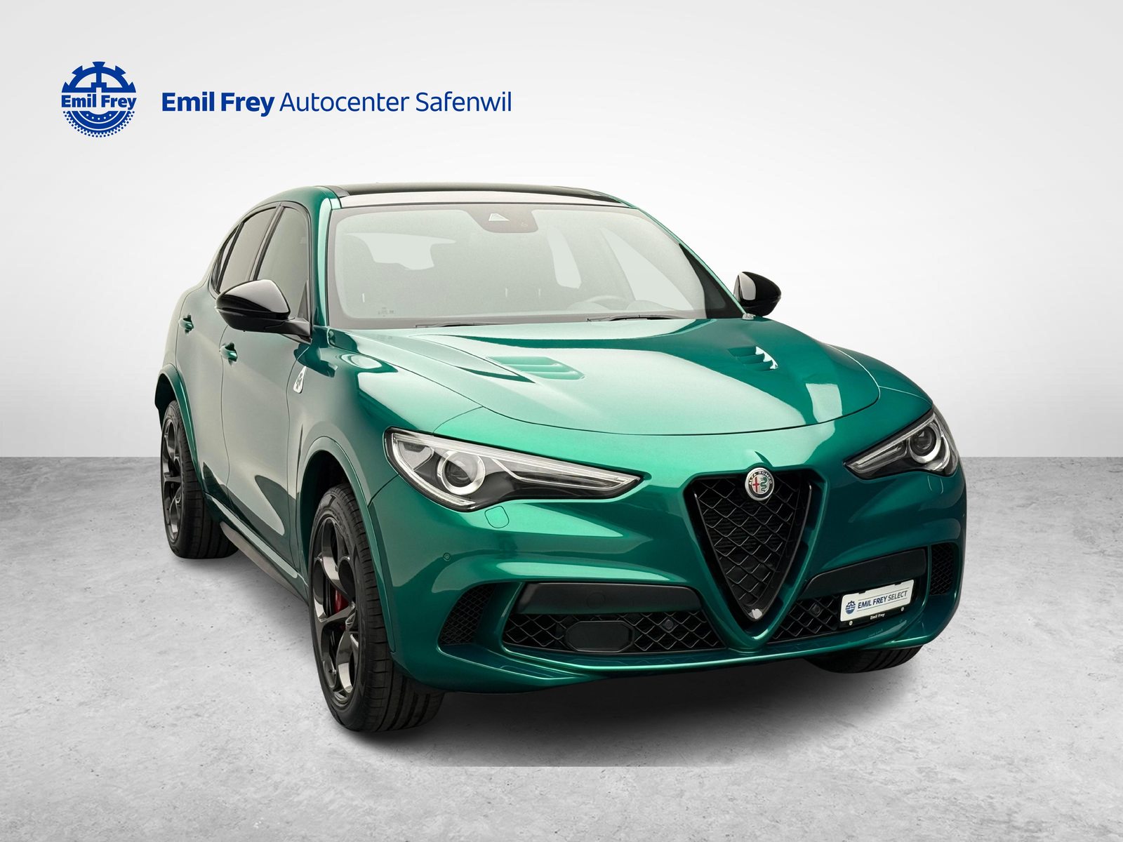 ALFA ROMEO Stelvio 2.9 V6 Biturbo Q4 Quadrifoglio, Benzin, Occasion / Gebraucht, Automatik - 7