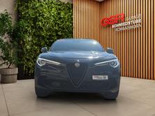 ALFA ROMEO Stelvio 2.9 V6 Biturbo Q4 Quadrifoglio Competizio, Benzina, Occasioni / Usate, Automatico - 7