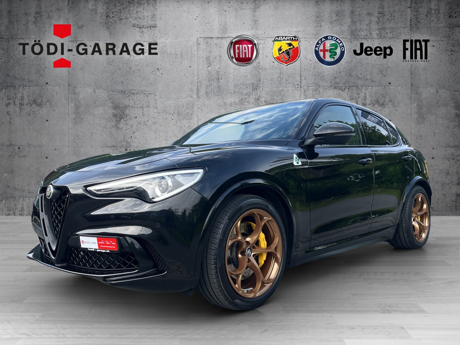 ALFA ROMEO Stelvio 2.9 V6 Biturbo Q4 Quadrifoglio SKY AKRAPO