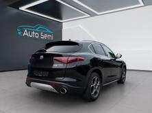 ALFA ROMEO Stelvio 2.0 Executive Q4 Automatic, Benzina, Occasioni / Usate, Automatico - 5