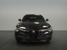 ALFA ROMEO STELVIO 2.0 MA 280 AT Q4 Ve, Benzina, Occasioni / Usate, Automatico - 2