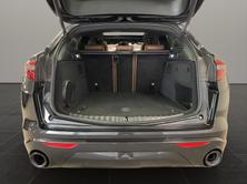 ALFA ROMEO STELVIO 2.0 MA 280 AT Q4 Ve, Benzina, Occasioni / Usate, Automatico - 6