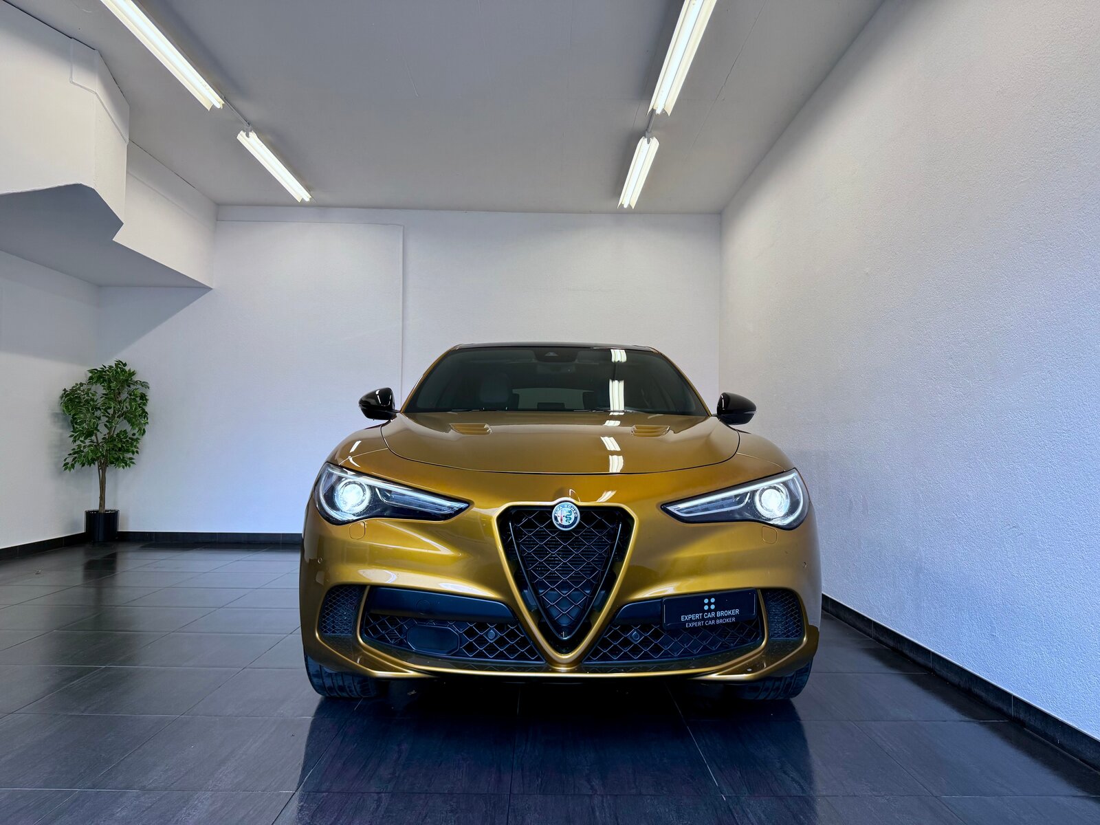 ALFA ROMEO Stelvio 2.9 V6 Quadrifoglio *AKRAPOVIC* Performan, Benzin, Occasion / Gebraucht, Automatik - 5