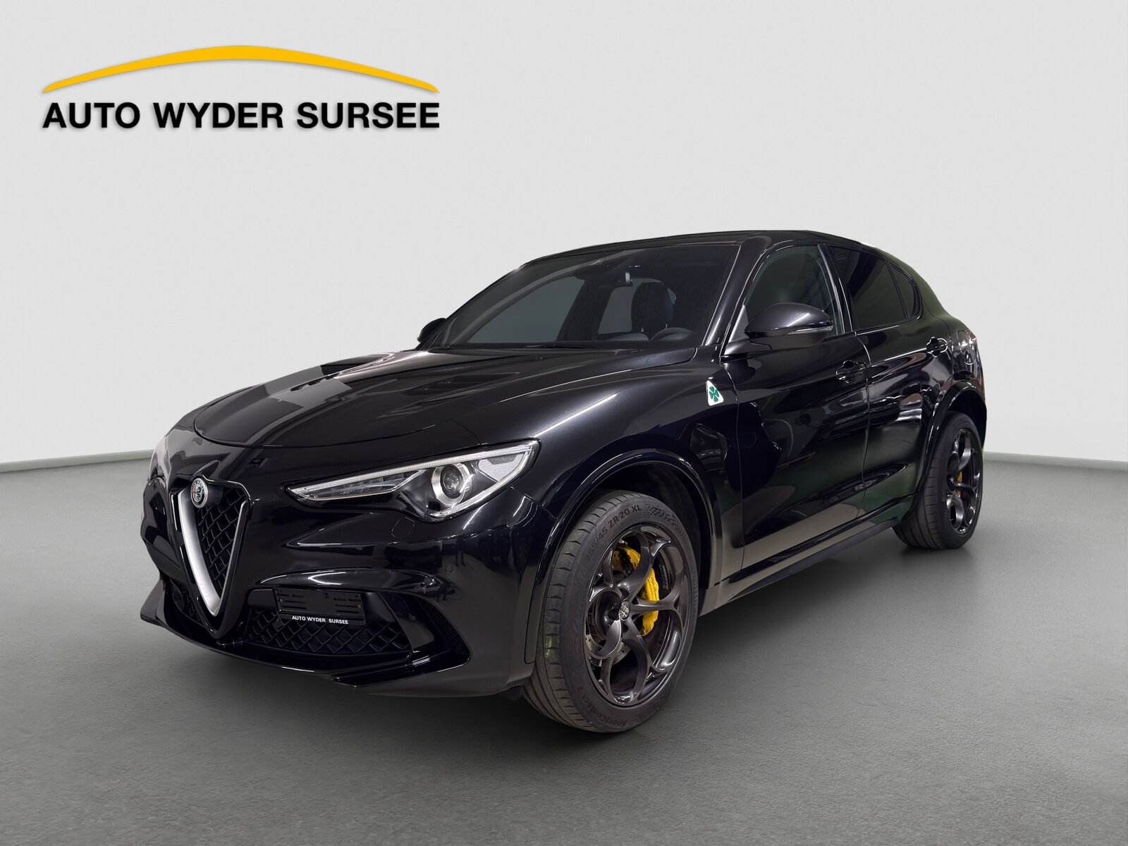 ALFA ROMEO Stelvio 2.9 V6 Biturbo Q4 Quadrifoglio