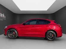ALFA ROMEO Stelvio 2.0 First Edition Q4 Automatic, Benzin, Occasion / Gebraucht, Automatik - 4