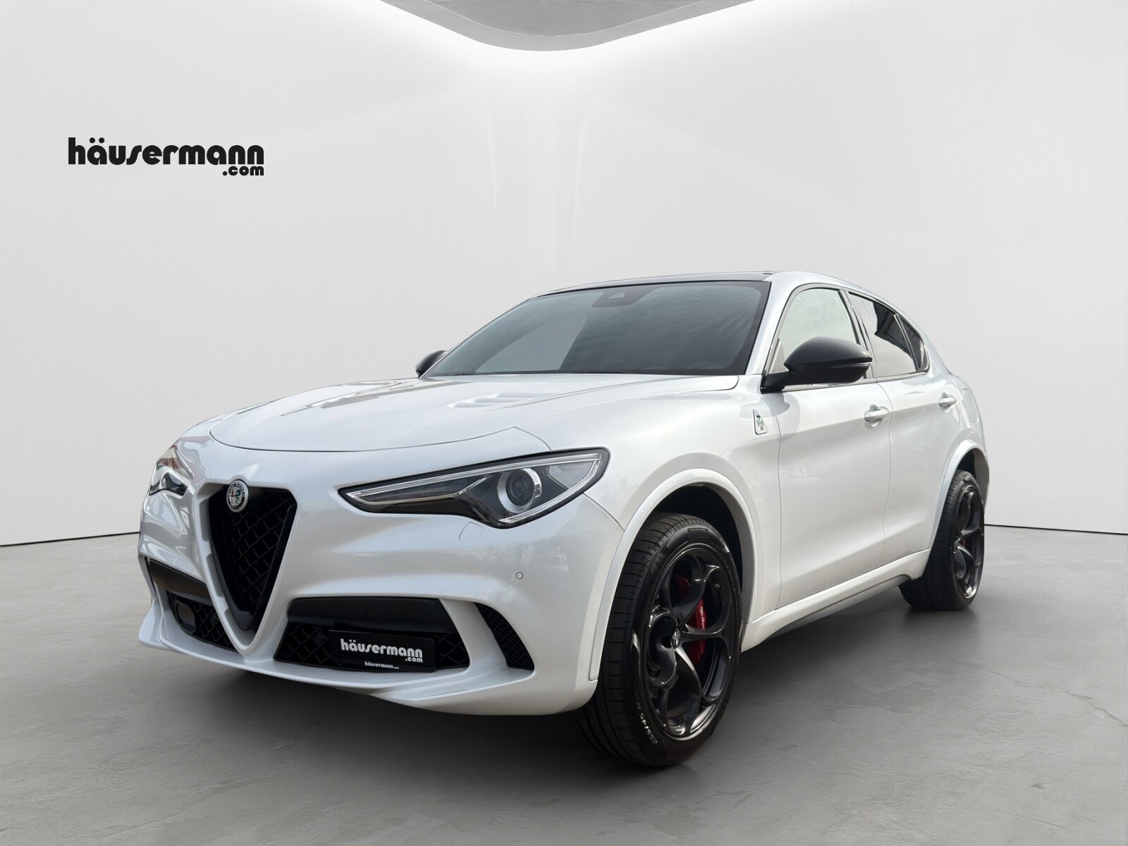 ALFA ROMEO Stelvio 2.9 V6 Biturbo Q4 Quadrifoglio