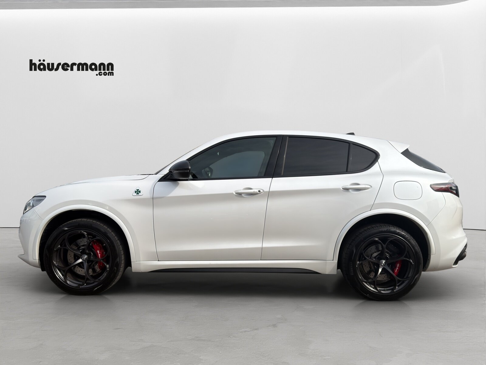 ALFA ROMEO Stelvio 2.9 V6 Biturbo Q4 Quadrifoglio, Petrol, Second hand / Used, Automatic - 2