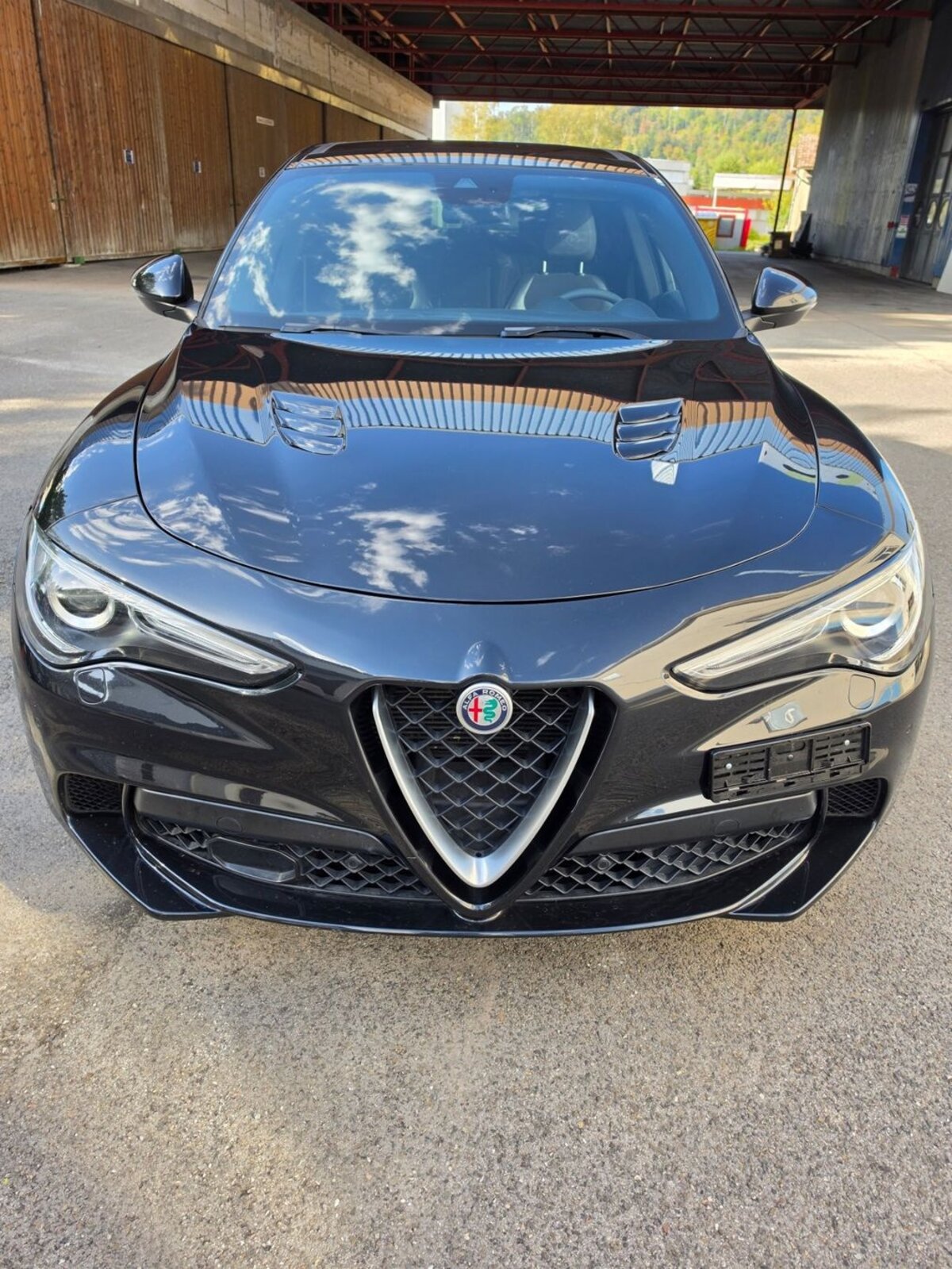 ALFA ROMEO Stelvio 2.9 V6 Biturbo Q4 Quadrifoglio
