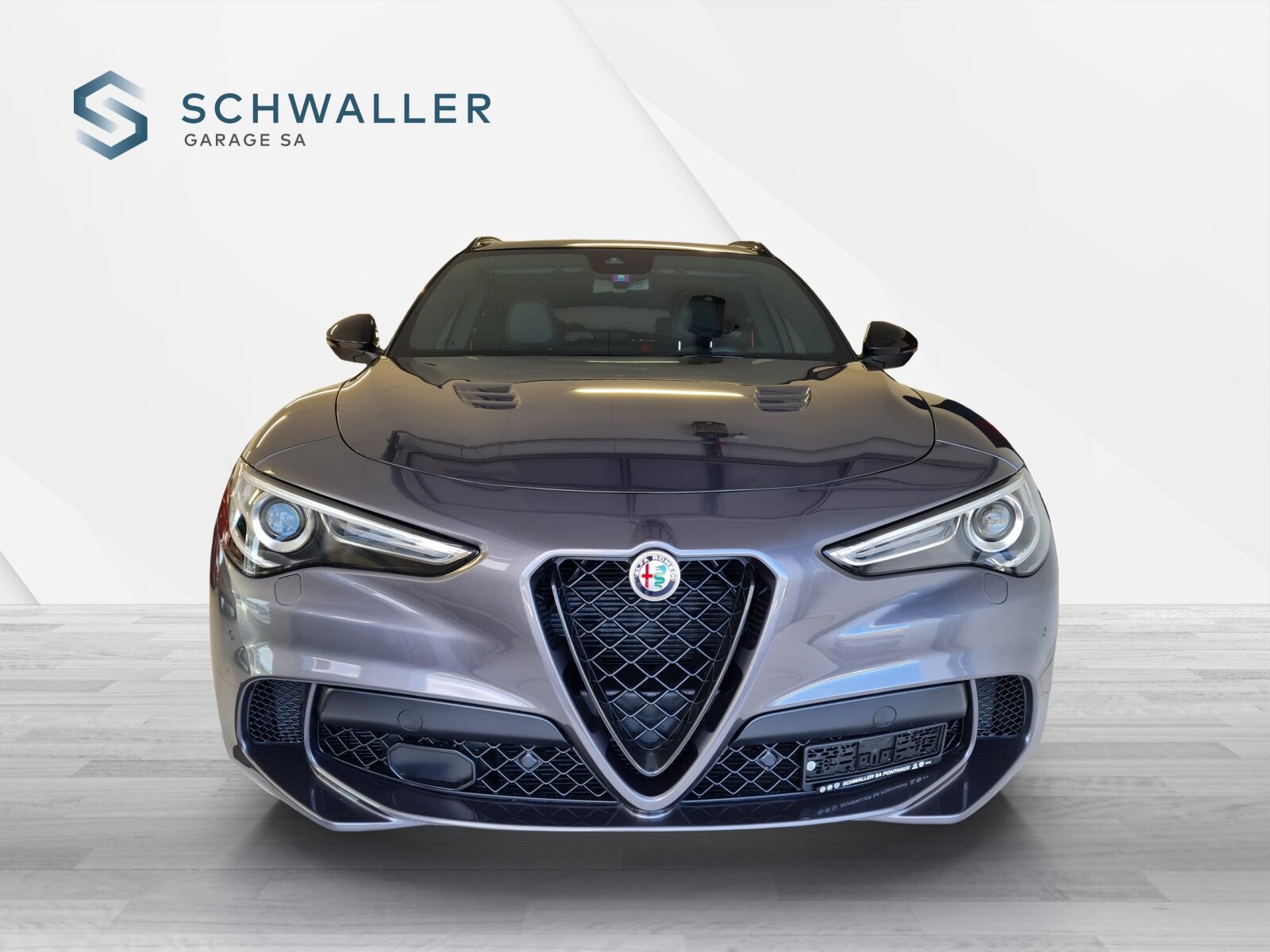 ALFA ROMEO STELVIO 2.9 V6 Biturbo Q4 Q, Petrol, Second hand / Used, Automatic - 2