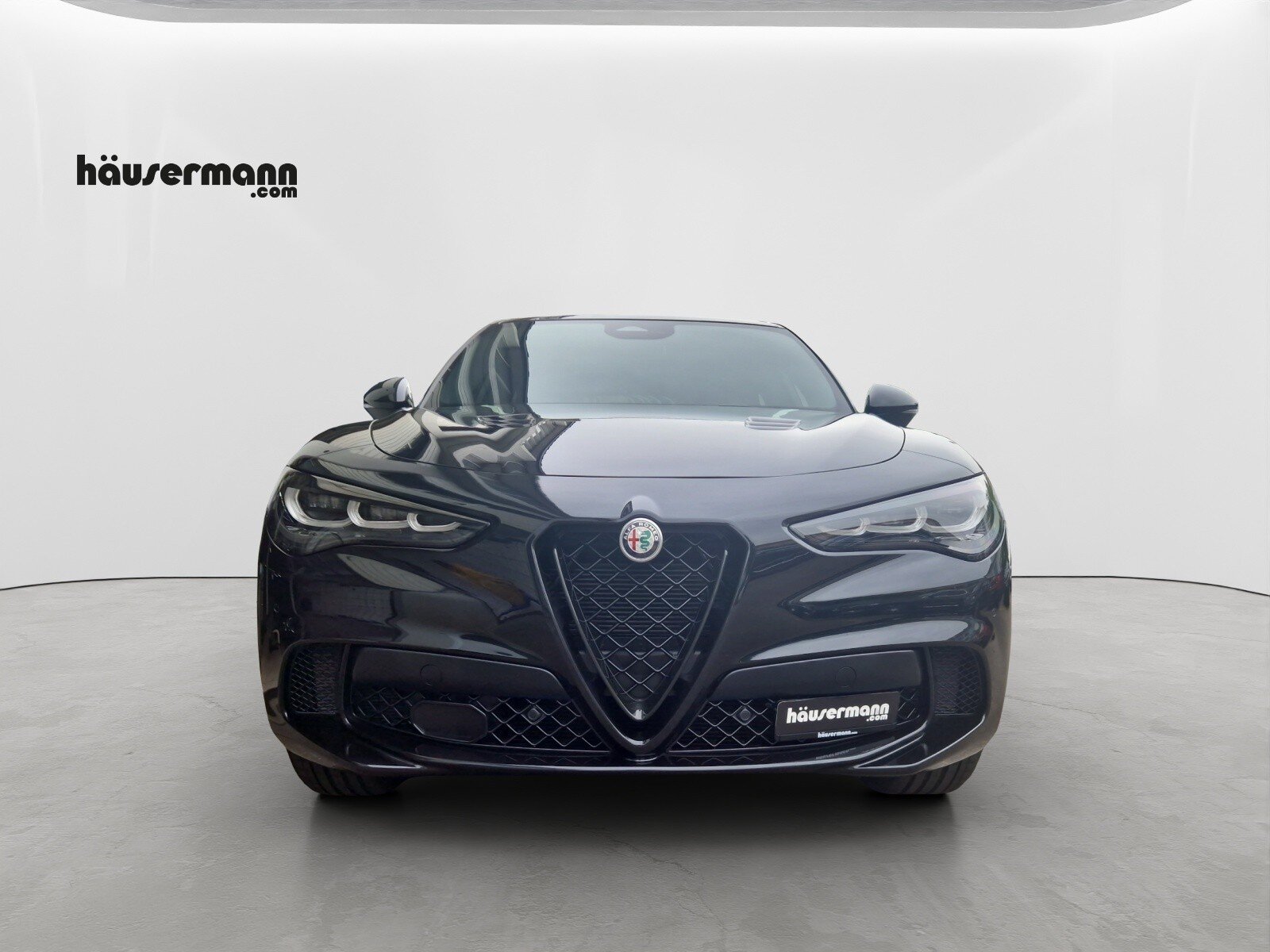ALFA ROMEO Stelvio 2.9 V6 Biturbo Q4 Quadrifoglio, Essence, Voiture de démonstration, Automatique - 2