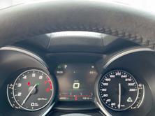 ALFA ROMEO Stelvio 2.9 V6 Biturbo Q4 Quadrifoglio, Benzina, Occasioni / Usate, Automatico - 7