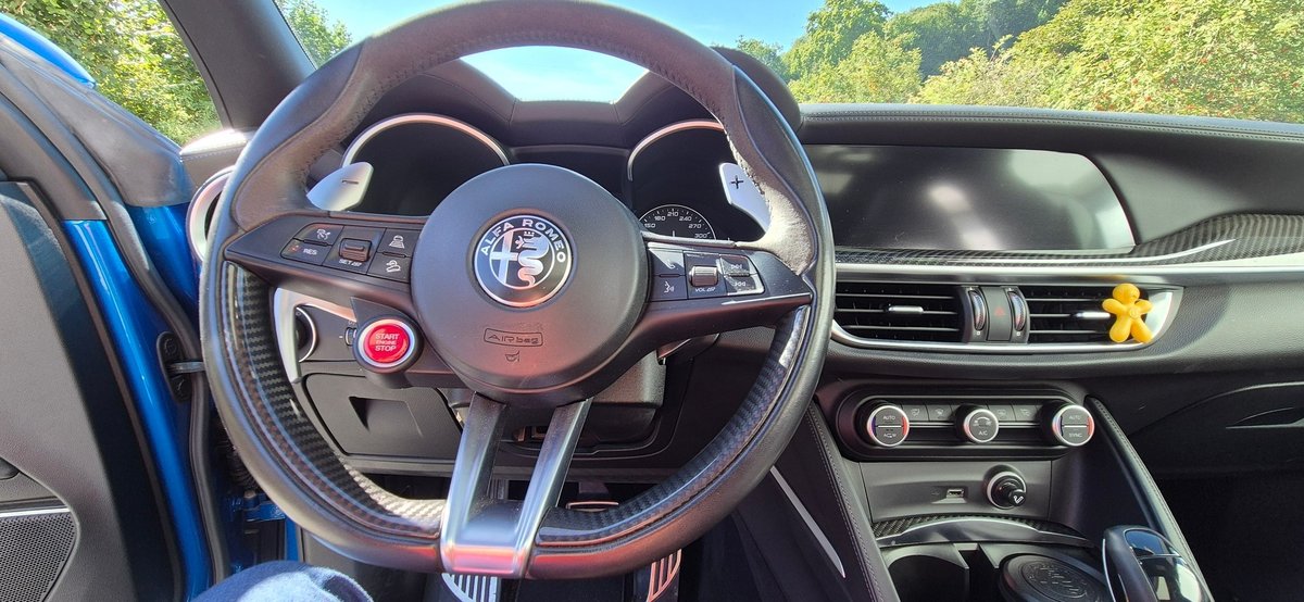 ALFA ROMEO Stelvio 2.9 V6 Biturbo Q4 Quadrifoglio, Essence, Occasion / Utilisé, Automatique - 6