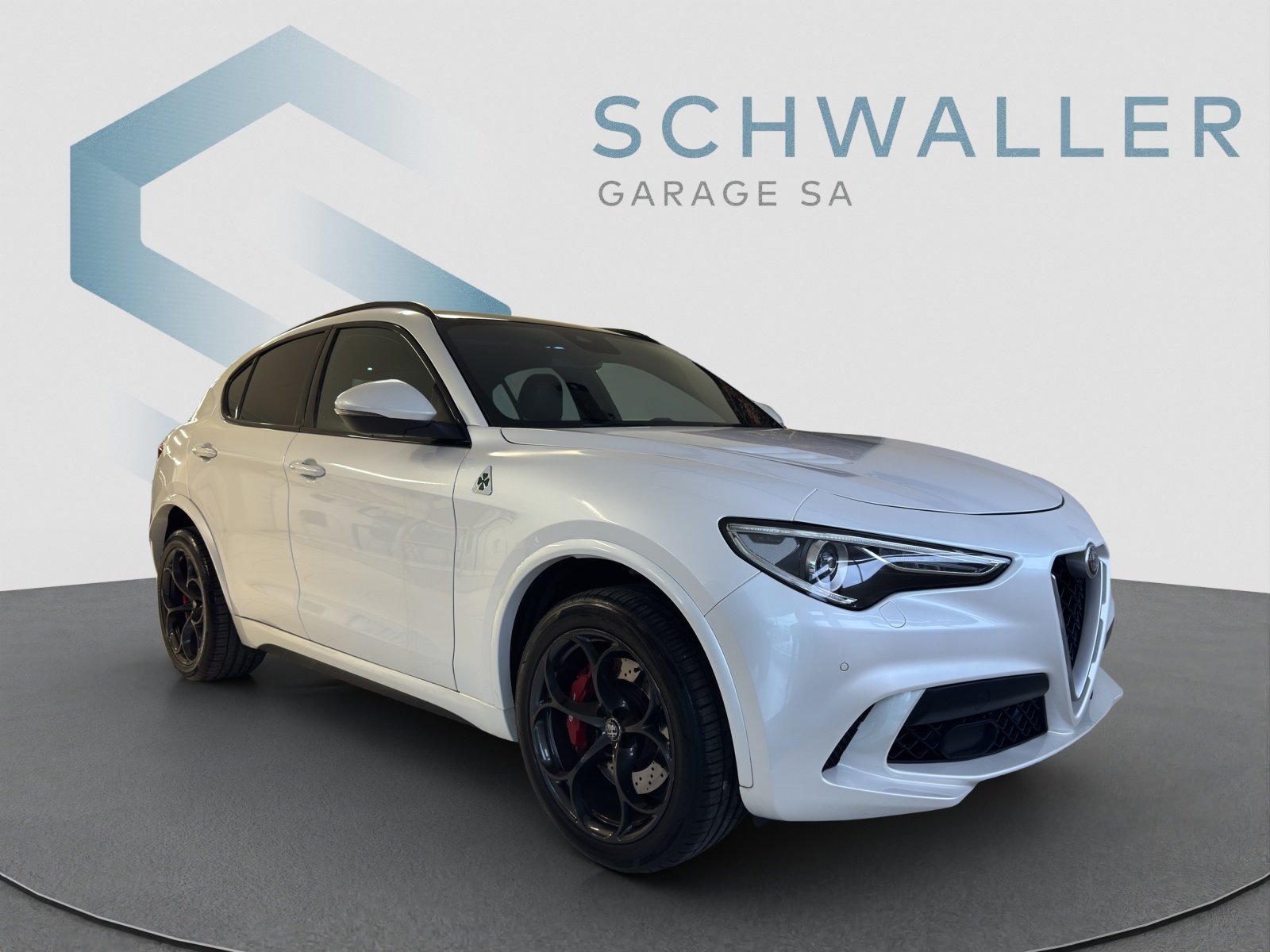 ALFA ROMEO STELVIO 2.9 V6 Biturbo Q4 Quadrifoglio, Benzin, Occasion / Gebraucht, Automat