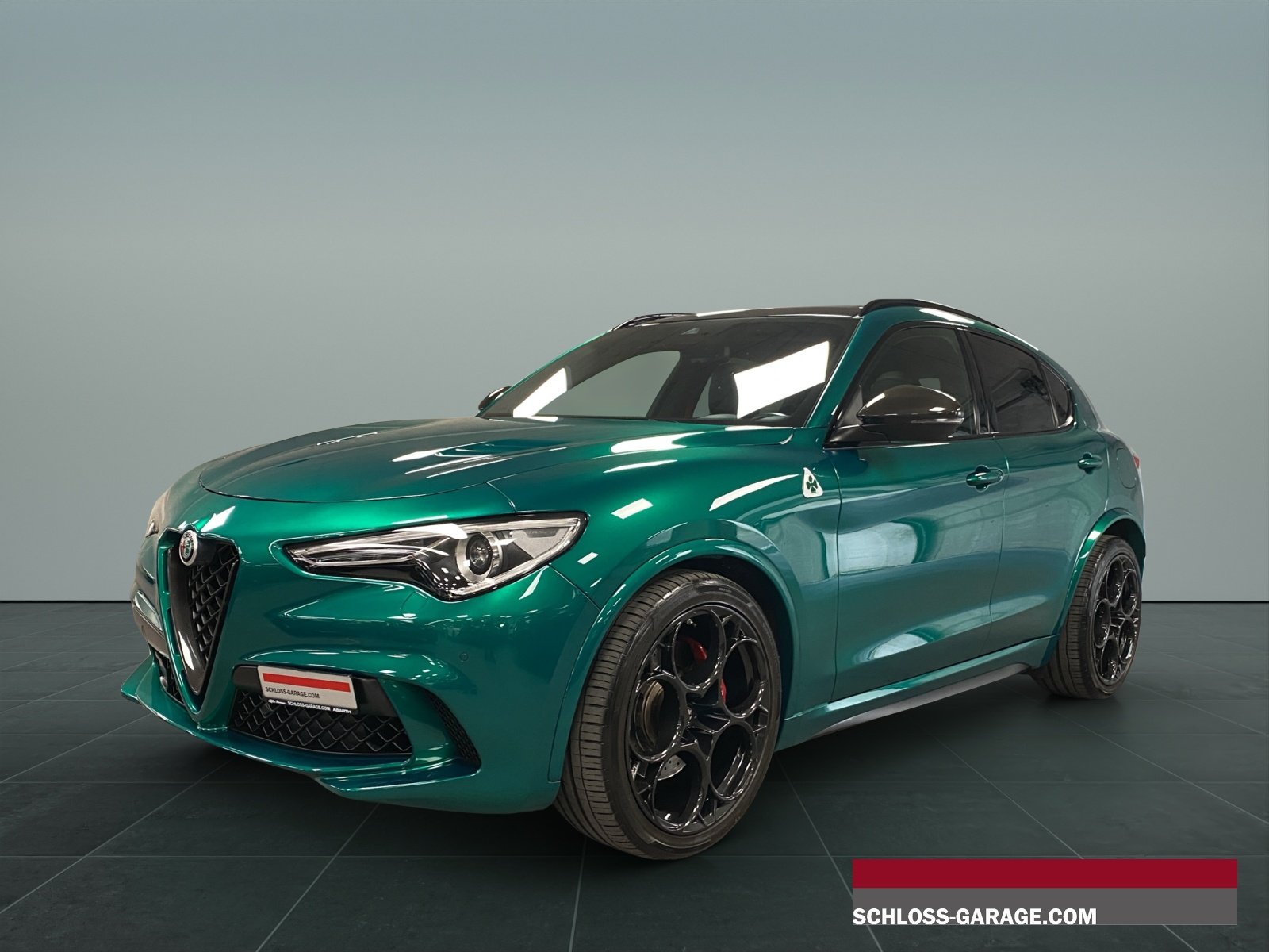 ALFA ROMEO STELVIO 2.9 V6 Bit. Q4 Quadrifoglio 21 Sky, Benzina, Occasioni / Usate, Automatico