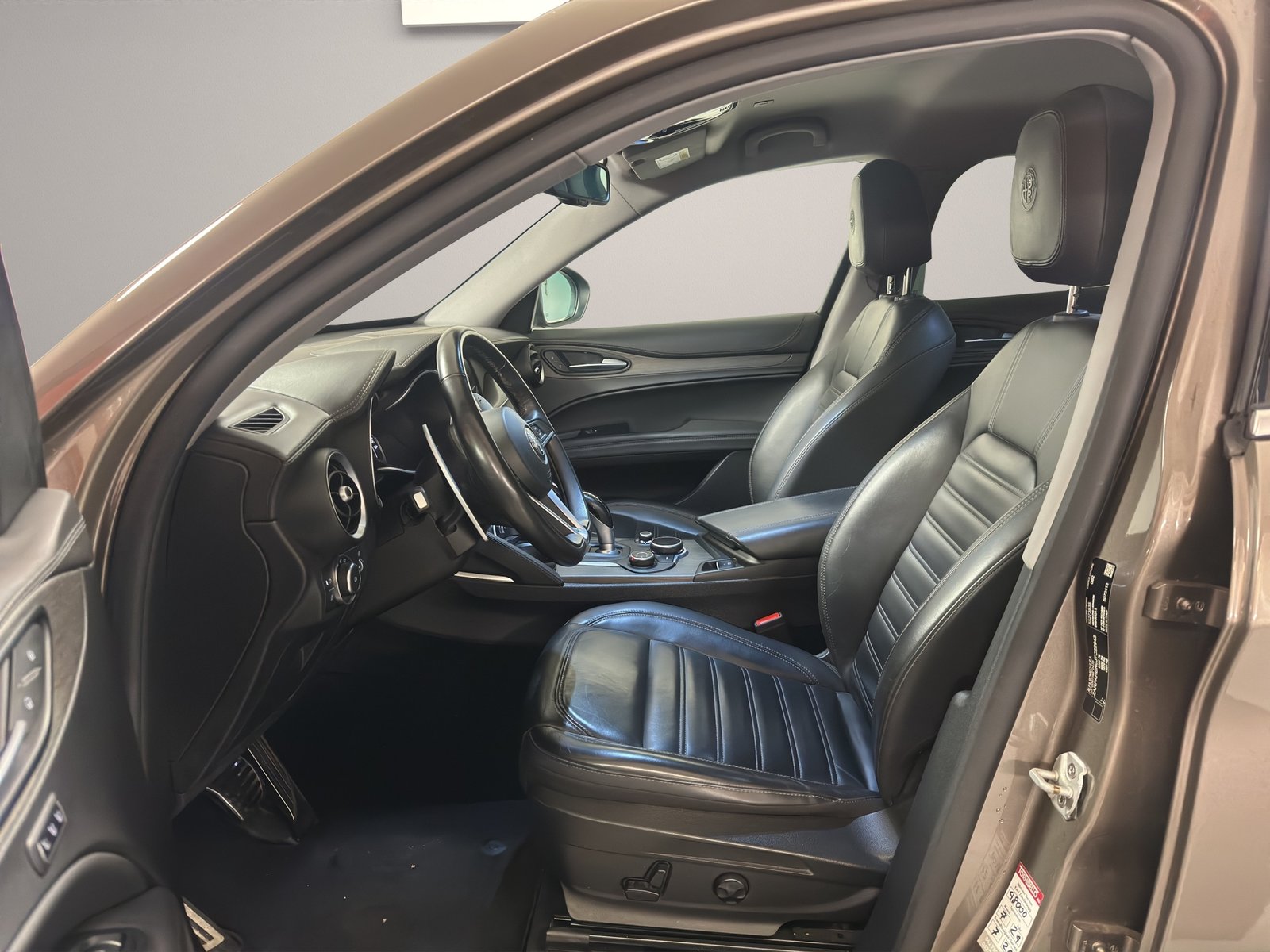 ALFA ROMEO Stelvio 2.0 Executive Q4 Automatic, Benzina, Occasioni / Usate, Automatico - 7