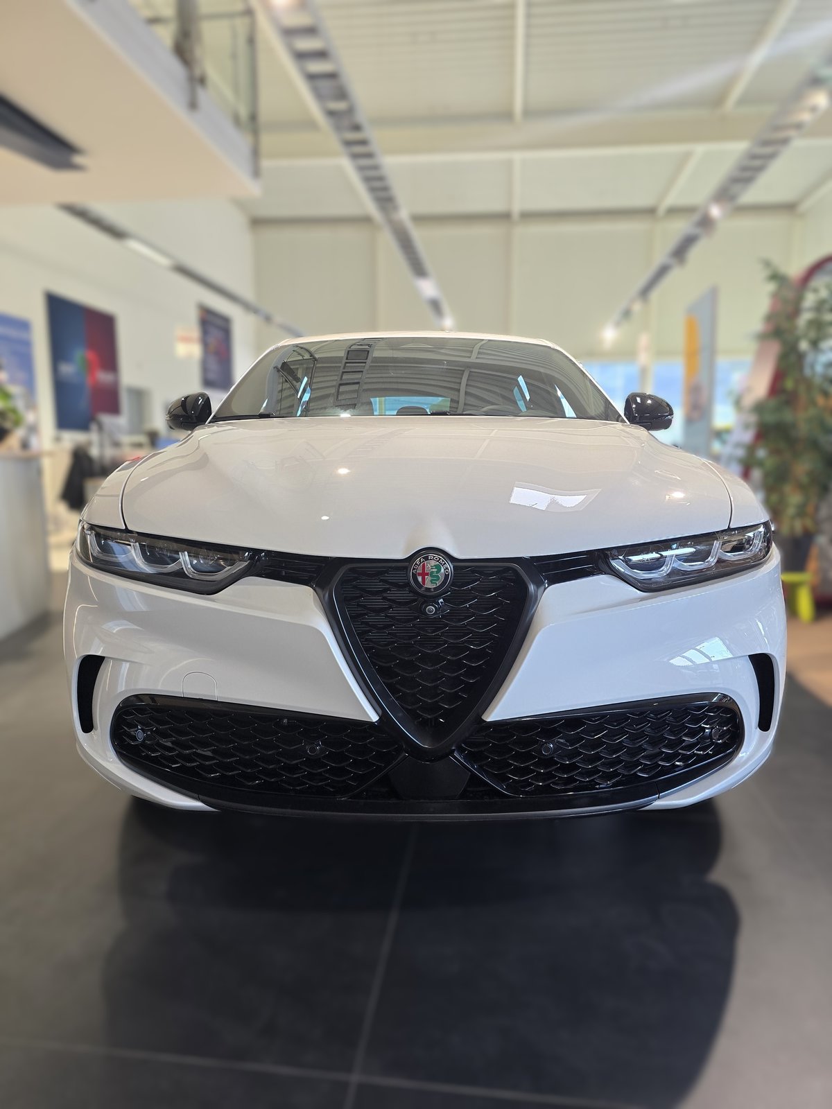 ALFA ROMEO Tonale 1.3 Plug-in-Hybrid Q4 Tributo Italiano, Plug-in-Hybrid Benzin/Elektro, Neuwagen, Automatik - 6