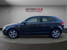 AUDI A3 2.0 TDI Attraction, Diesel, Occasion / Utilisé, Manuelle - 3