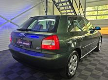 AUDI A3 1.8 T quattro Ambition, Benzina, Occasioni / Usate, Manuale - 5