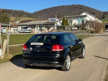 AUDI A3 3.2 Ambition V6 quattro, Benzin, Occasion / Gebraucht, Handschaltung - 5