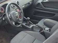 AUDI A3 2.0 TDI Ambiente, Diesel, Occasion / Utilisé, Manuelle - 6