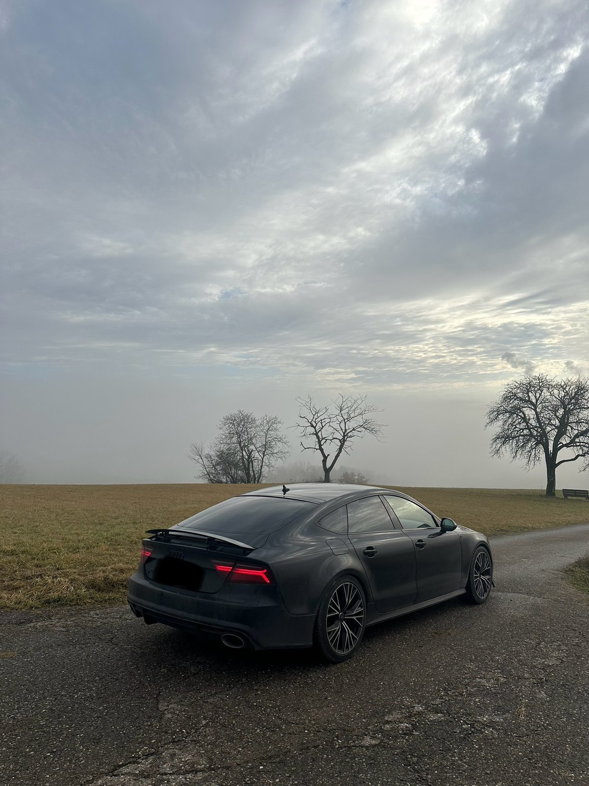 AUDI A7 Sportback 3.0 V6 TDI Competition quattro, Diesel, Occasion / Utilisé, Automatique - 6