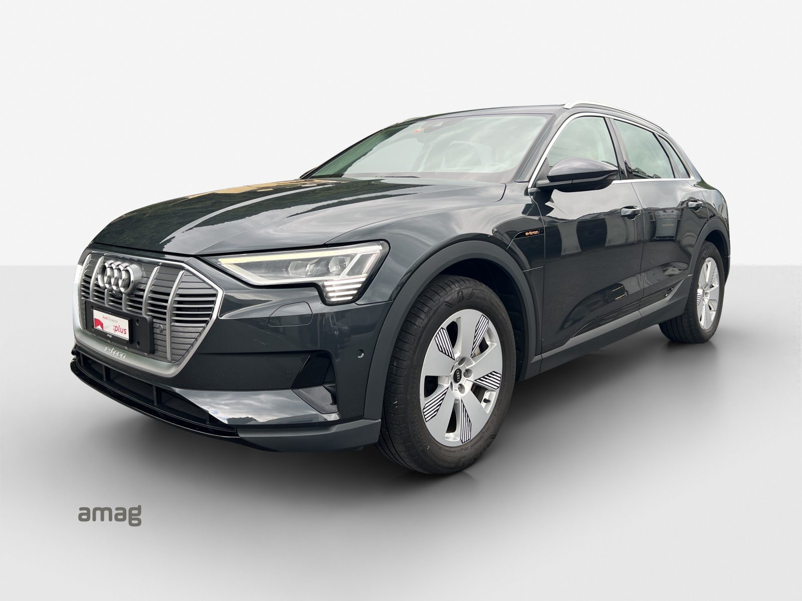AUDI e-tron 50 Attraction