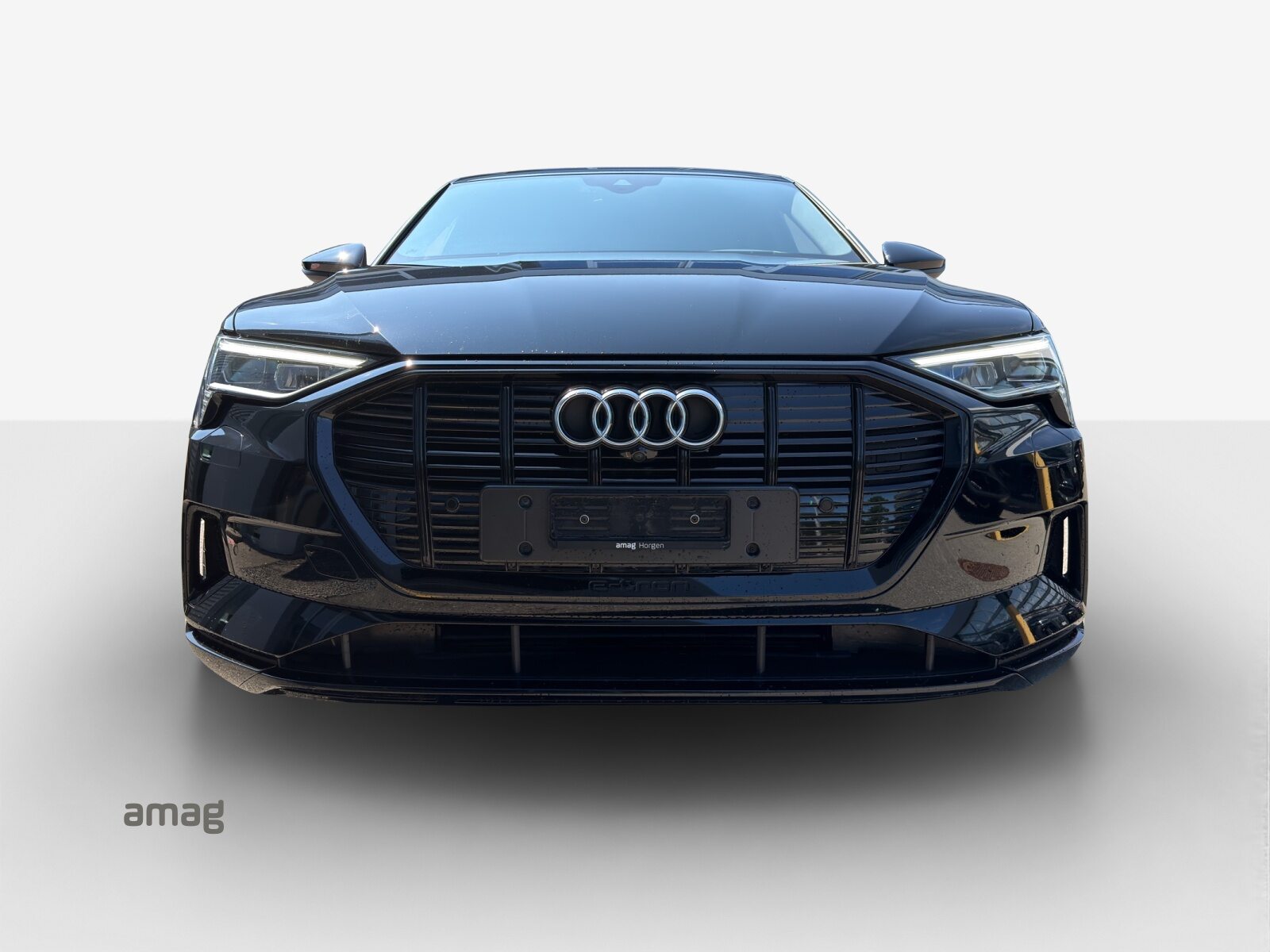 AUDI e-tron 50 advanced Attraction, Elektro, Occasion / Gebraucht, Automatik - 7