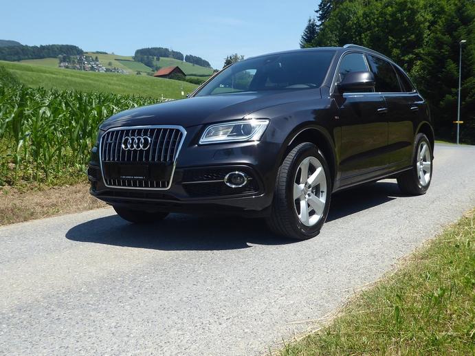 AUDI Q5 3.0 TDI clean quattro S-tronic, Diesel, Occasioni / Usate, Automatico