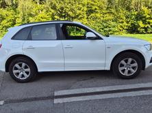 AUDI Q5 3.0 TDI quattro S-tronic, Diesel, Occasion / Gebraucht, Automatik - 5