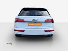 AUDI Q5 45 TFSI S line, Benzina, Occasioni / Usate, Automatico - 4