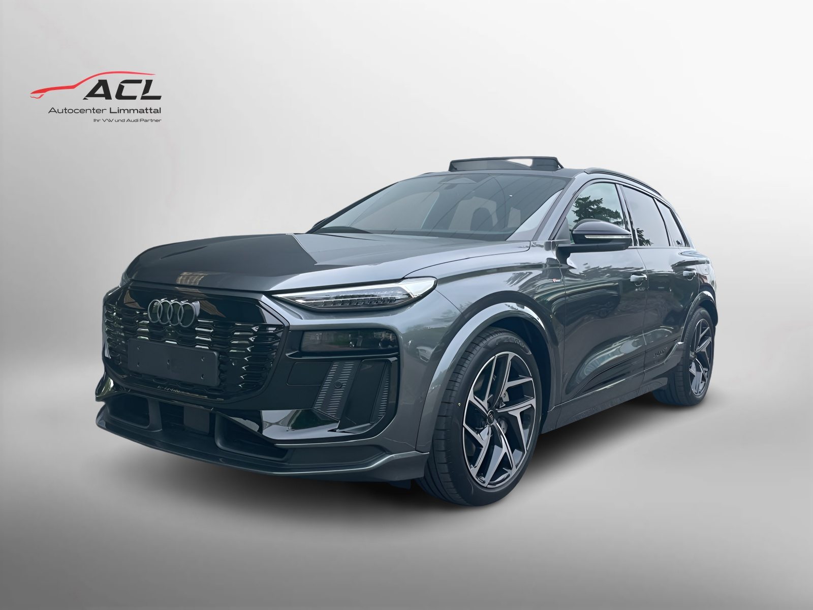 AUDI Q6 SUV e-tron quattro
