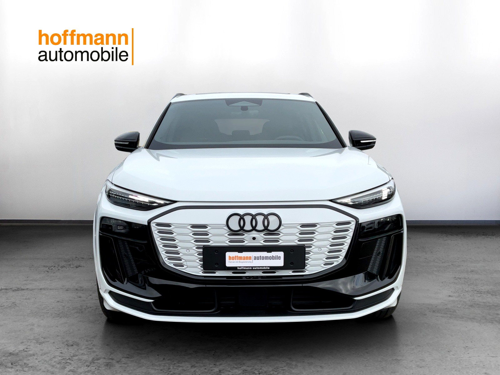 AUDI Q6 SUV e-tron quattro, Elektro, Occasion / Gebraucht, Automatik - 2