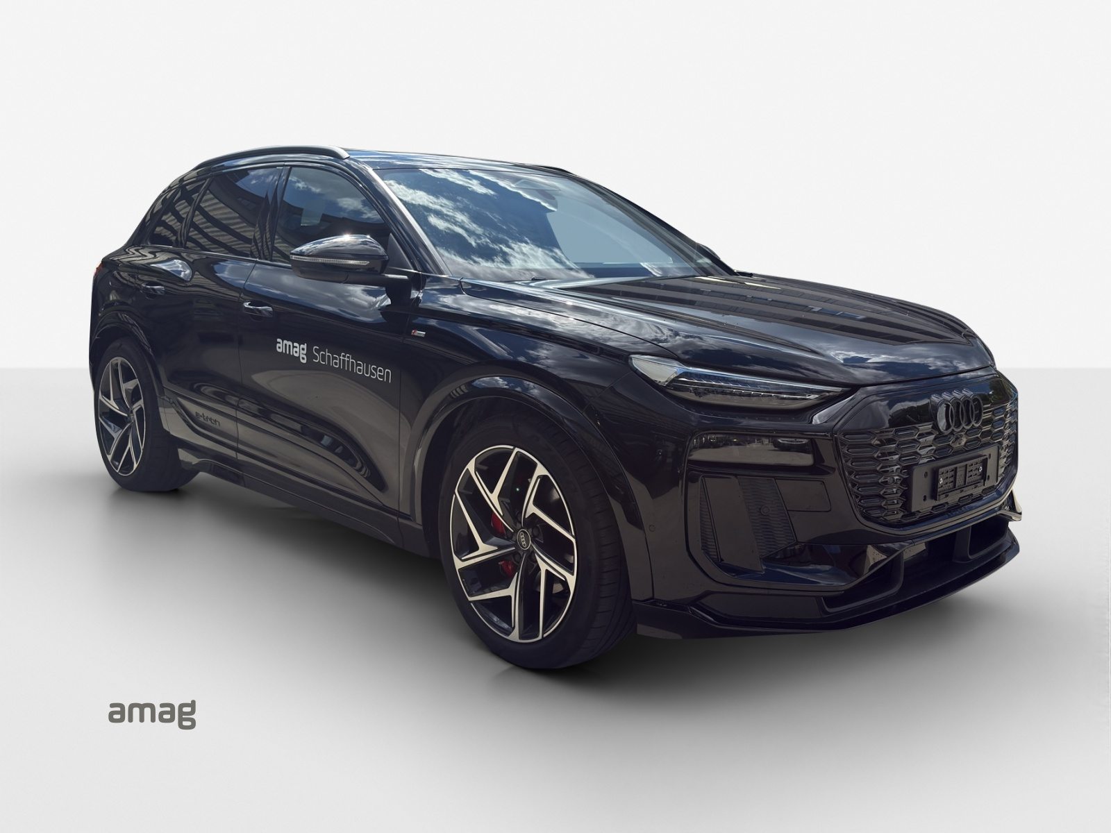 AUDI Q6 SUV e-tron quattro, Électrique, Occasion / Utilisé, Automatique - 6