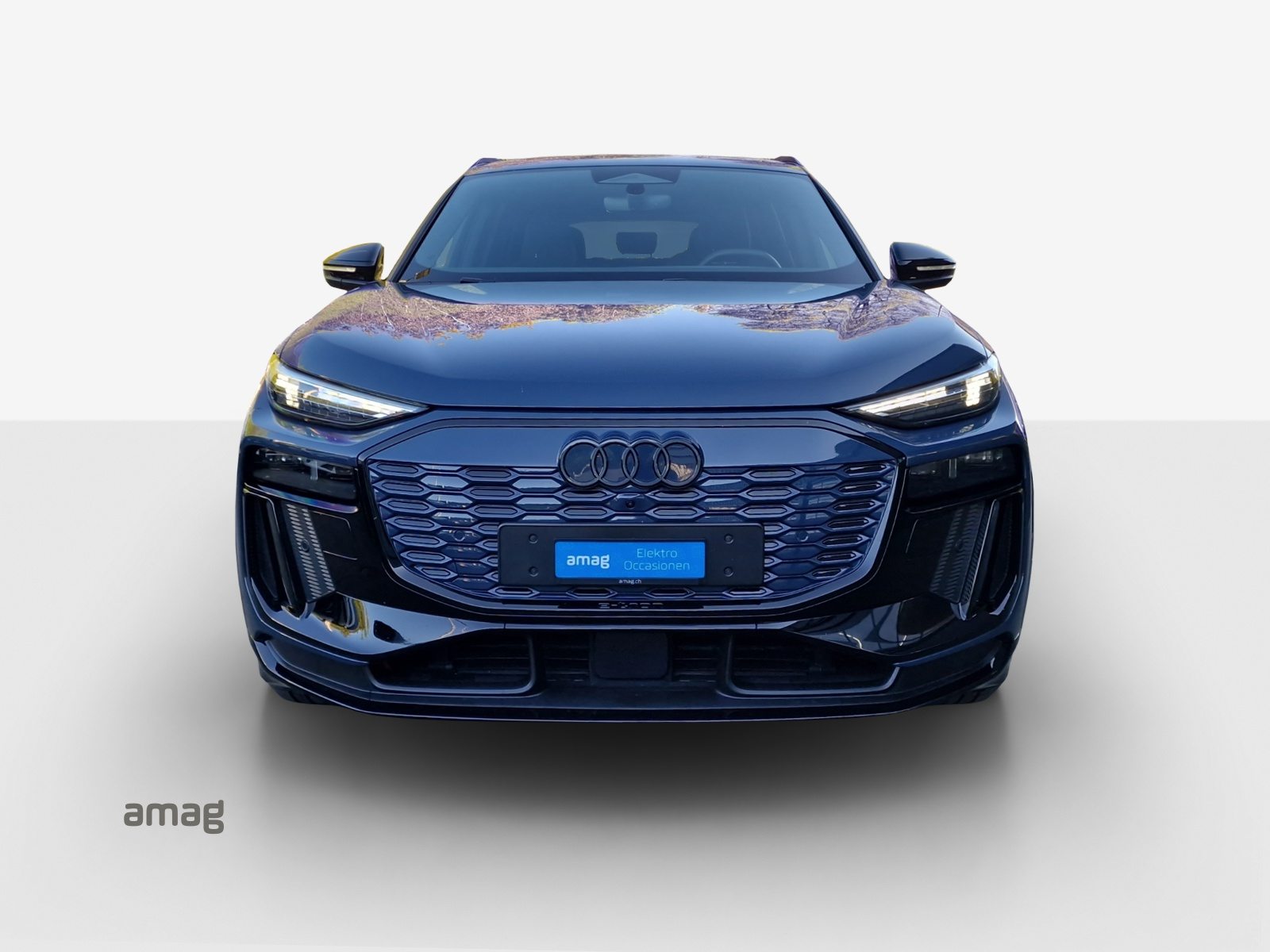 AUDI Q6 SUV e-tron quattro, Elektro, Occasion / Gebraucht, Automatik - 7