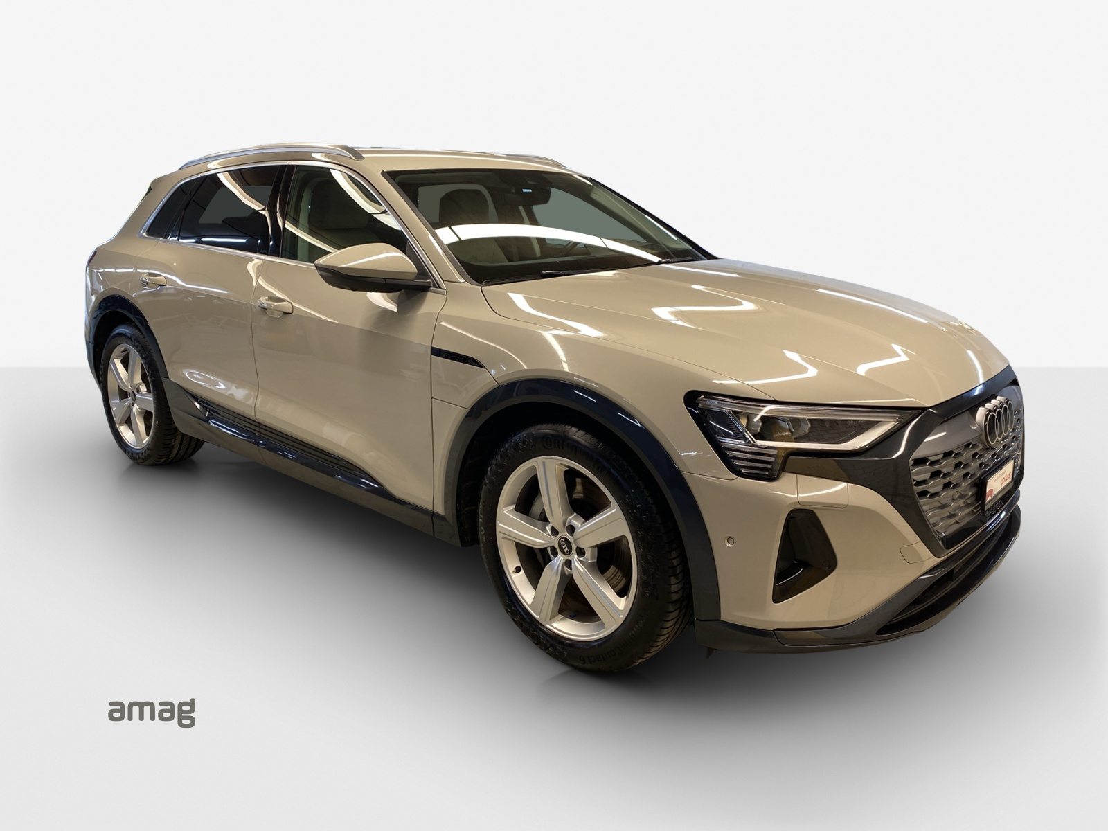 AUDI Q8 55 e-tron advanced, Electric, Second hand / Used, Automatic - 6