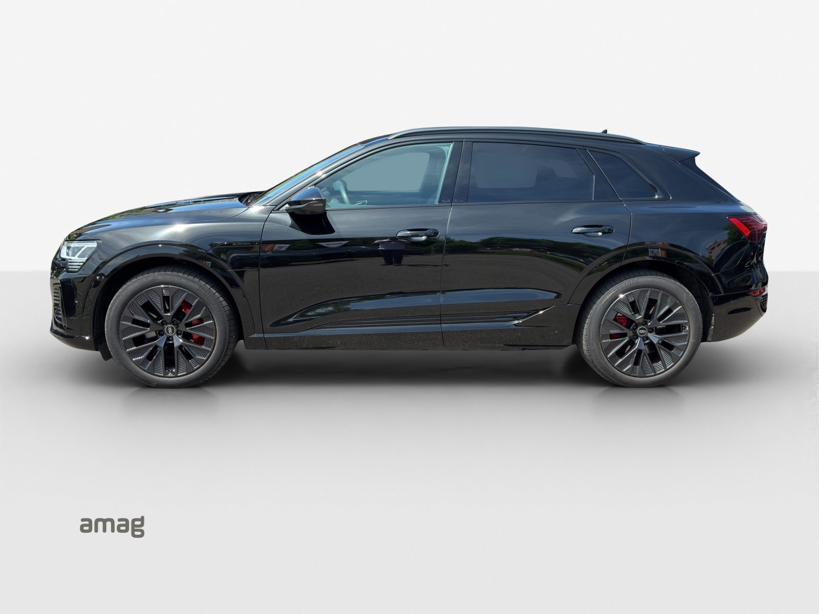 AUDI Q8 55 e-tron Black Edition, Électrique, Occasion / Utilisé, Automatique - 2