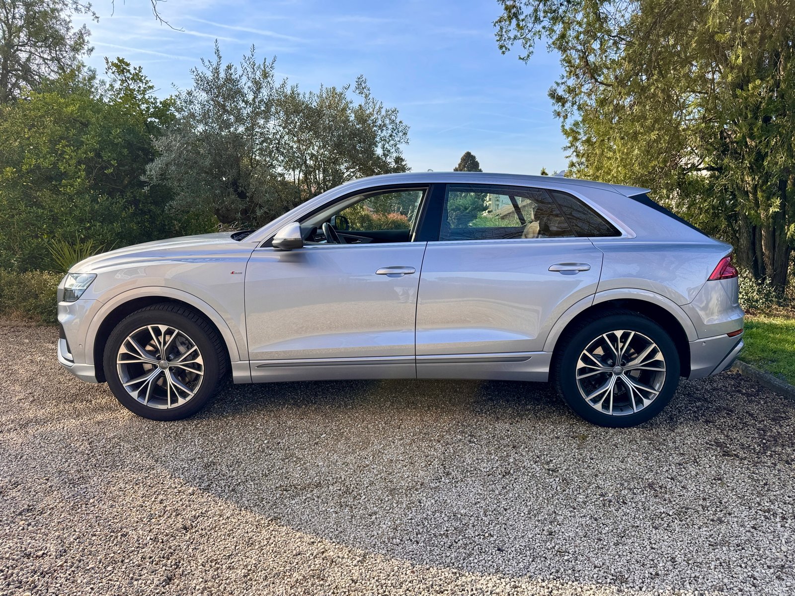 AUDI Q8 55 TFSI quattro tiptronic, Hybride Leggero Benzina/Elettrica, Occasioni / Usate, Automatico - 7