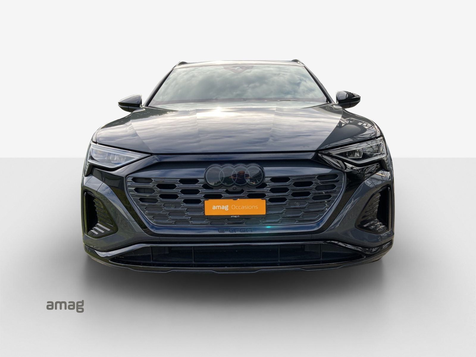 AUDI Q8 55 e-tron Black Edition, Elettrica, Occasioni / Usate, Automatico - 7