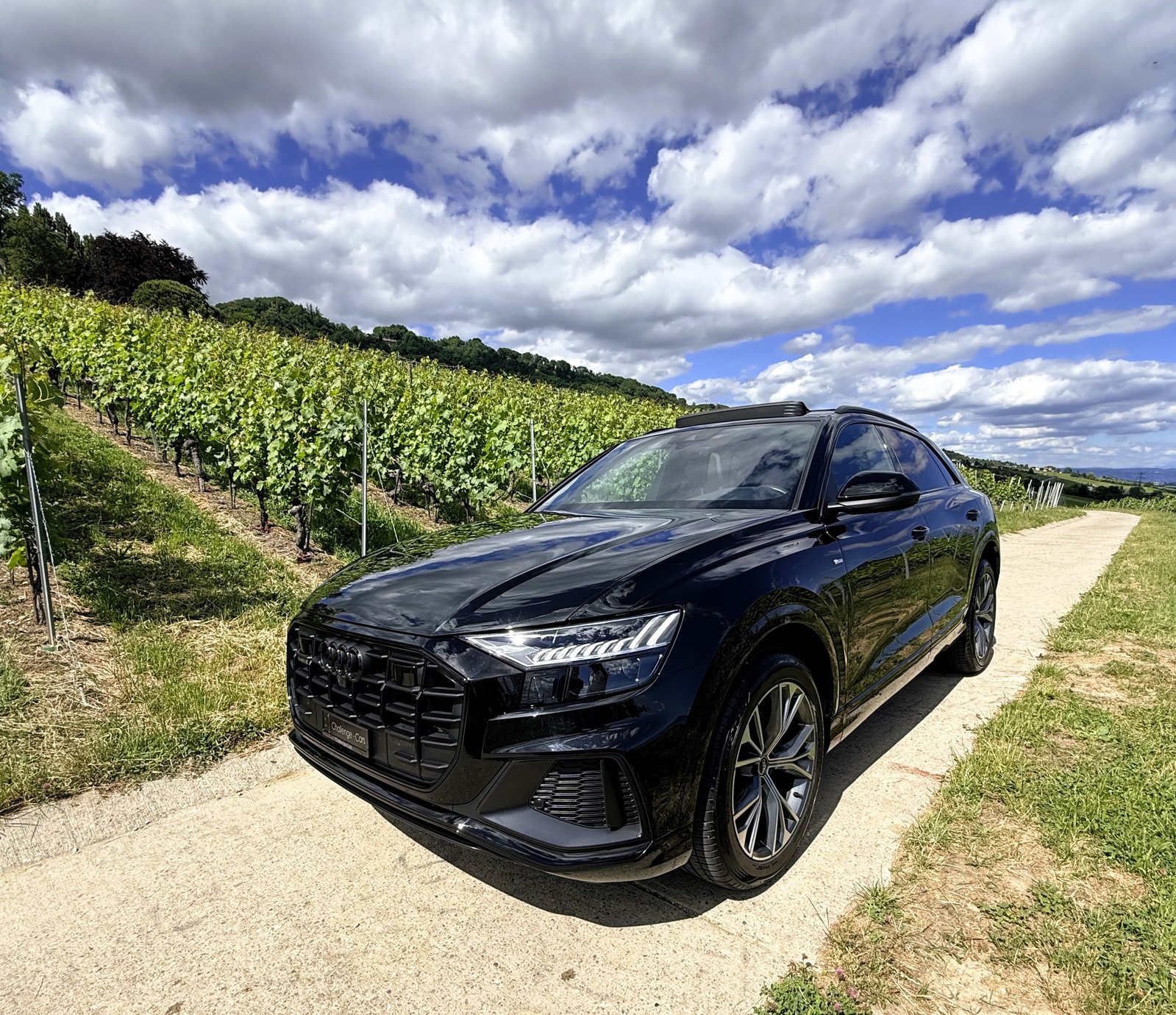 AUDI Q8 45 TDI Black Edition quattro tiptronic