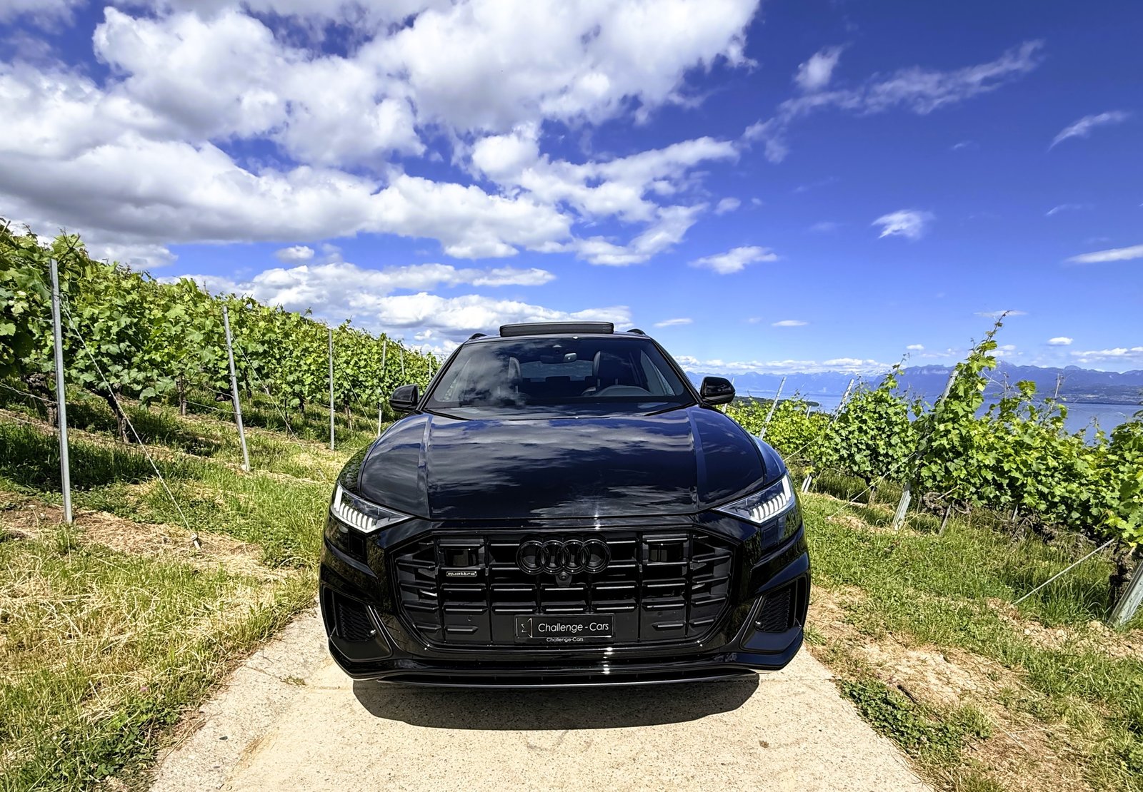 AUDI Q8 45 TDI Black Edition quattro tiptronic, Hybride Leggero Diesel/Elettrica, Occasioni / Usate, Automatico - 3