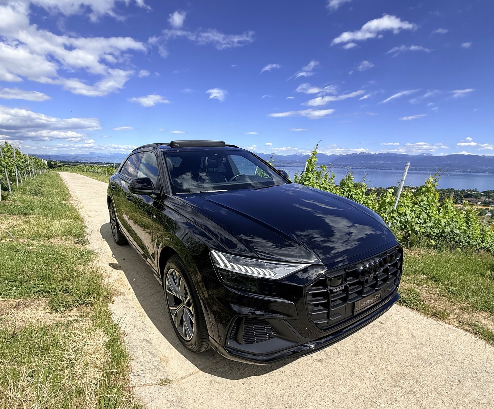 AUDI Q8 45 TDI Black Edition quattro tiptronic, Hybride Leggero Diesel/Elettrica, Occasioni / Usate, Automatico - 4