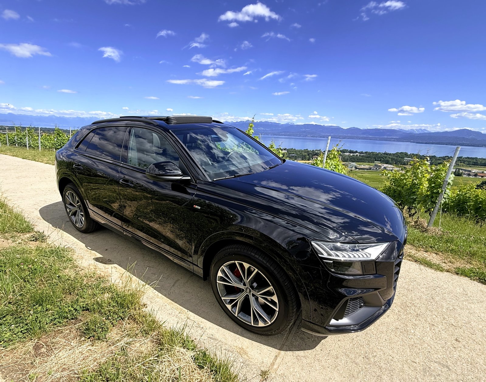 AUDI Q8 45 TDI Black Edition quattro tiptronic, Hybride Leggero Diesel/Elettrica, Occasioni / Usate, Automatico - 5