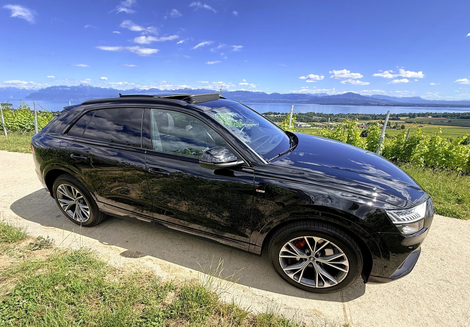 AUDI Q8 45 TDI Black Edition quattro tiptronic, Hybride Leggero Diesel/Elettrica, Occasioni / Usate, Automatico - 6