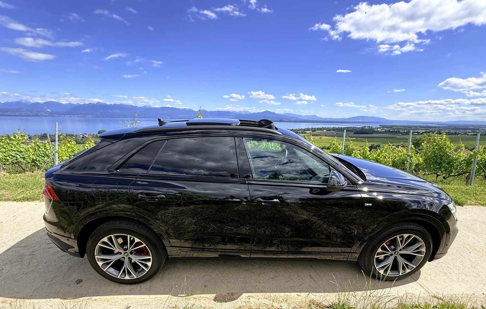 AUDI Q8 45 TDI Black Edition quattro tiptronic, Hybride Leggero Diesel/Elettrica, Occasioni / Usate, Automatico - 7