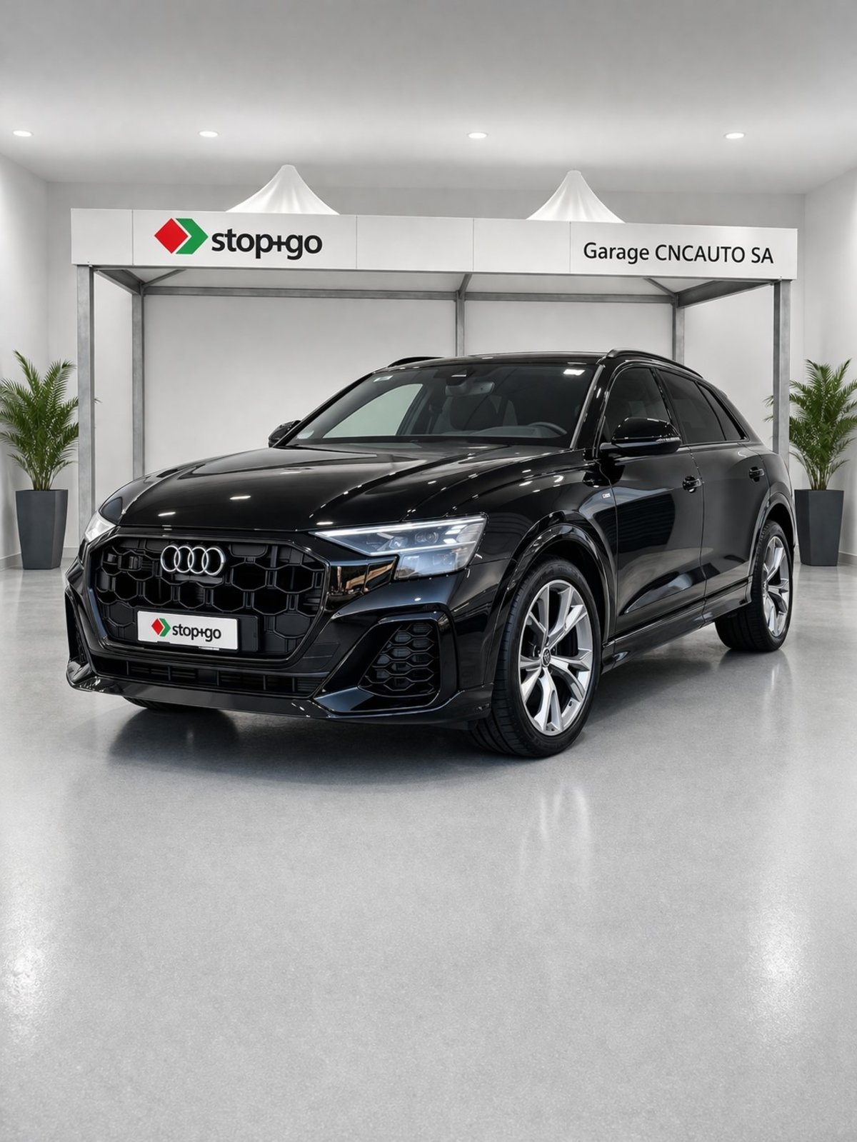 AUDI Q8 55 TFSI e quattro PHEV tiptronic